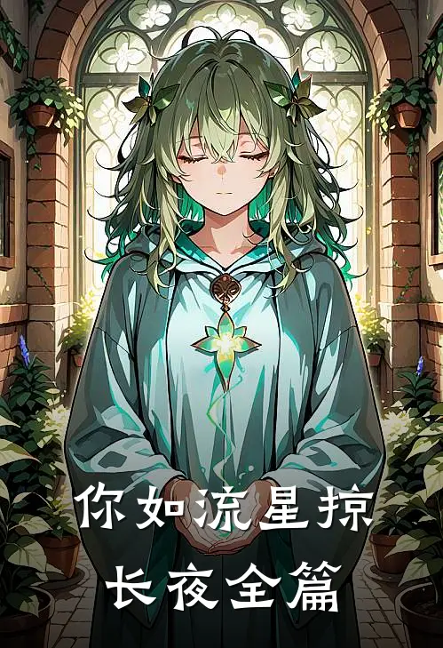 你如流星掠长夜全篇