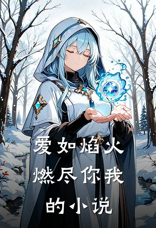 爱如焰火，燃尽你我的小说