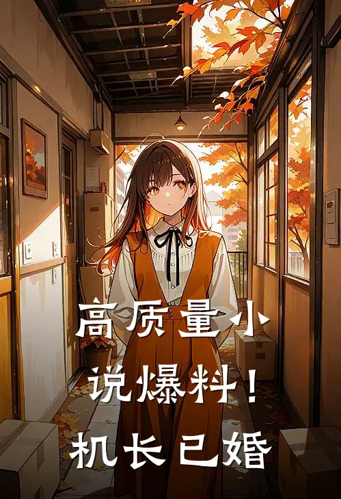 高质量小说爆料！机长已婚