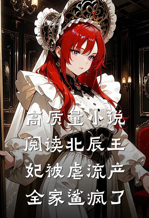 高质量小说阅读北辰王妃被虐流产，全家鲨疯了