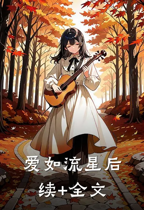 爱如流星后续+全文