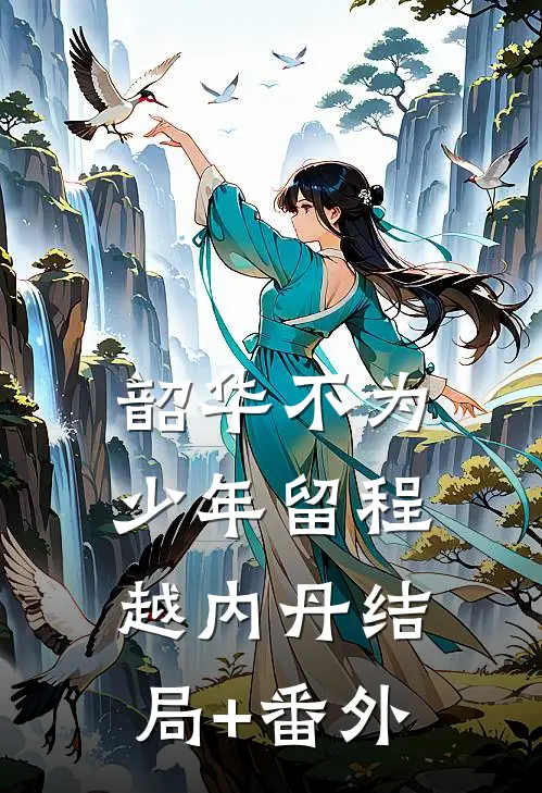 韶华不为少年留程越内丹结局+番外