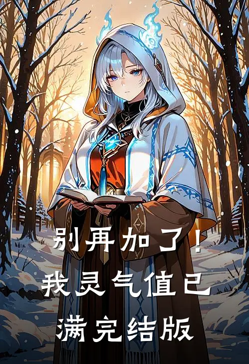 别再加了！我灵气值已满完结版