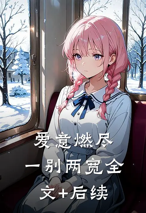 爱意燃尽，一别两宽全文+后续