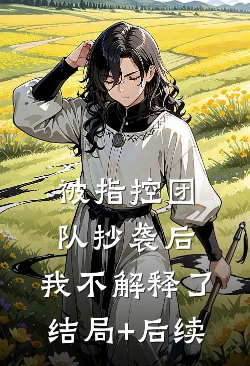 被指控团队抄袭后，我不解释了结局+后续