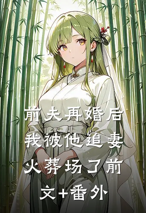 前夫再婚后，我被他追妻火葬场了前文+番外
