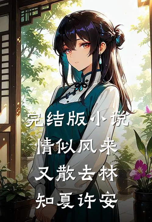 完结版小说情似风来又散去林知夏许安