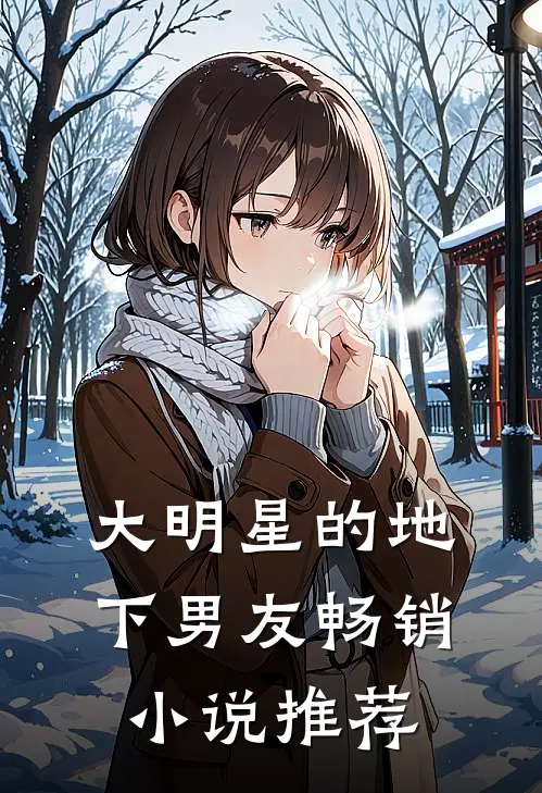 大明星的地下男友畅销小说推荐