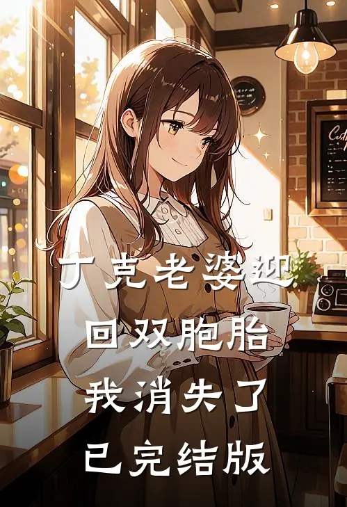丁克老婆迎回双胞胎，我消失了已完结版