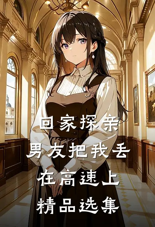 回家探亲，男友把我丢在高速上精品选集