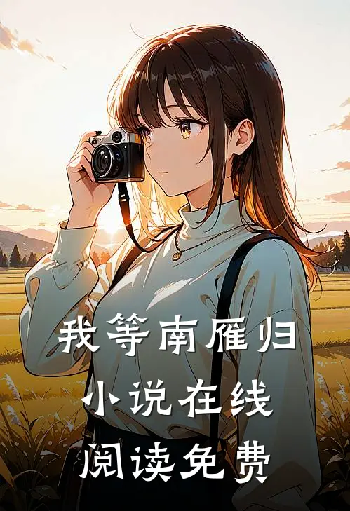 我等南雁归小说在线阅读免费