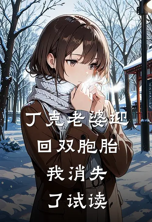 丁克老婆迎回双胞胎，我消失了试读