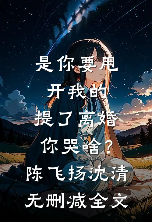 是你要甩开我的，提了离婚你哭啥？陈飞扬沈清无删减全文
