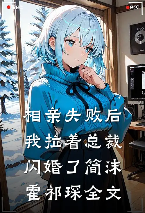 相亲失败后，我拉着总裁闪婚了简沫霍祁琛全文