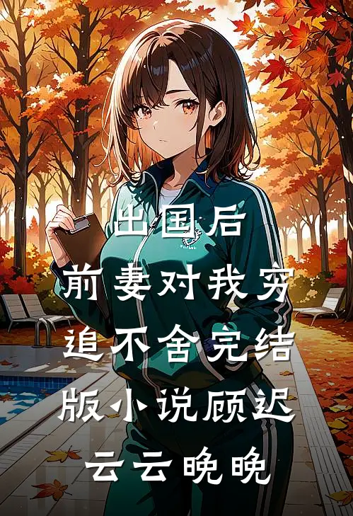 出国后，前妻对我穷追不舍完结版小说顾迟云云晚晚