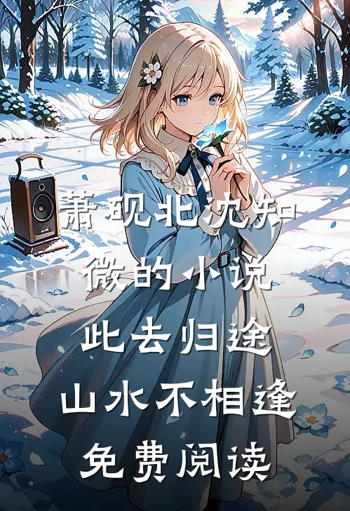 萧砚北沈知微的小说此去归途，山水不相逢免费阅读