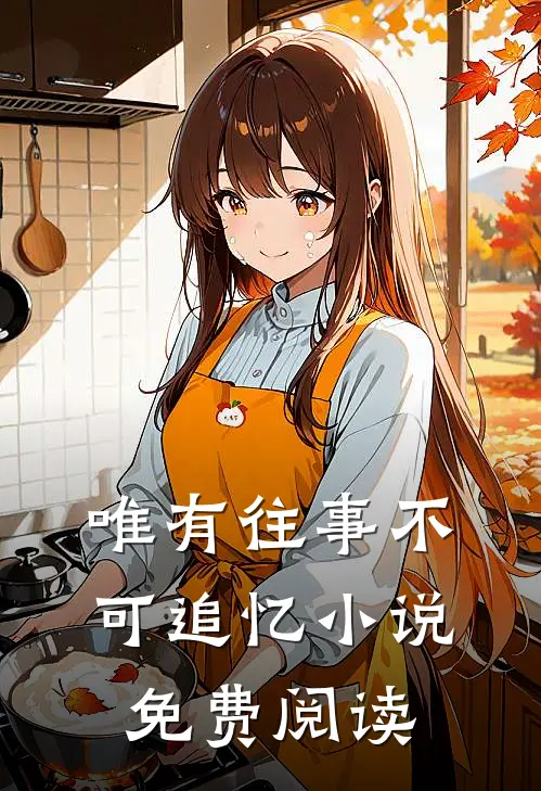 唯有往事不可追忆小说免费阅读