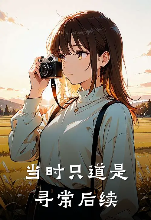 当时只道是寻常后续