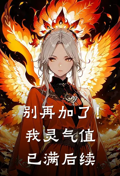 别再加了！我灵气值已满后续