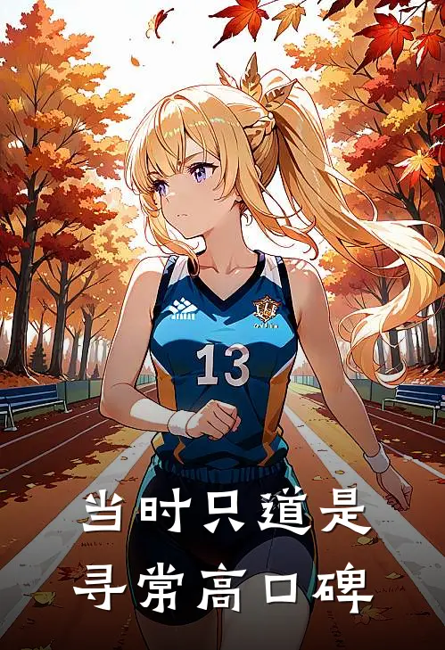 当时只道是寻常高口碑