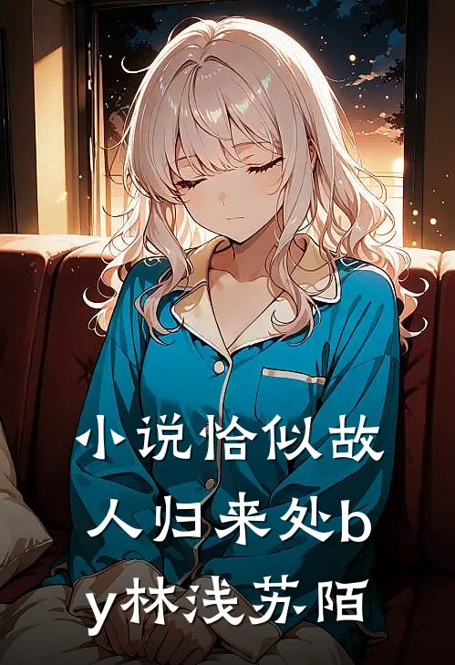 小说恰似故人归来处by林浅苏陌