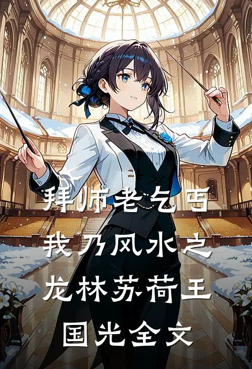 拜师老乞丐：我乃风水之龙林苏荷王国光全文