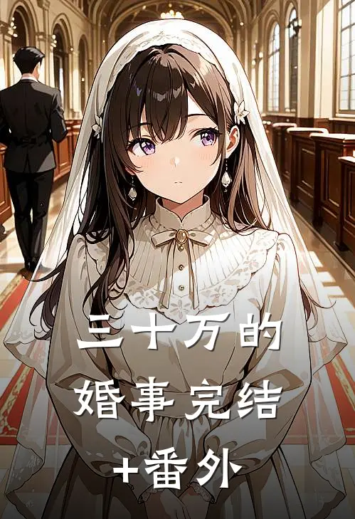 三十万的婚事完结+番外