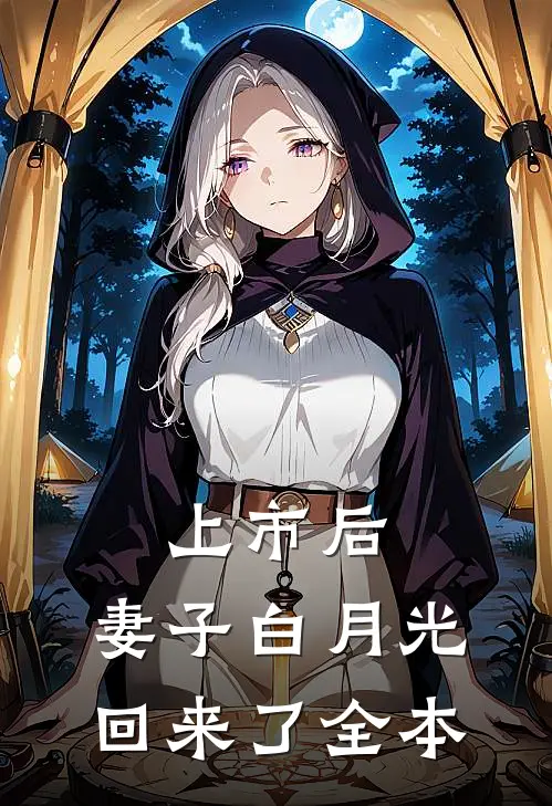 上市后，妻子白月光回来了全本