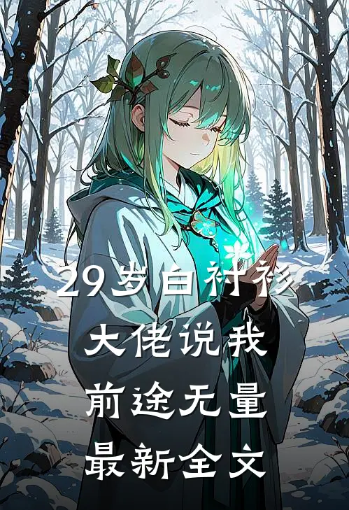 29岁白衬衫，大佬说我前途无量最新全文