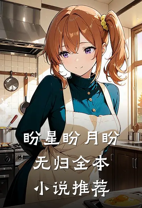 盼星盼月盼无归全本小说推荐