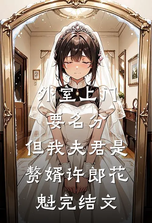 外室上门要名分，但我夫君是赘婿许郎花魁完结文