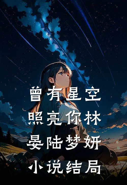 曾有星空照亮你林晏陆梦妍小说结局