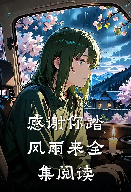 感谢你踏风雨来全集阅读