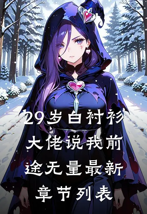 29岁白衬衫，大佬说我前途无量最新章节列表