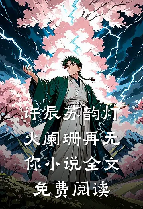 许辰苏韵灯火阑珊再无你小说全文免费阅读