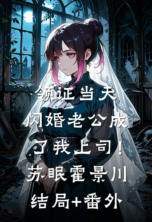 领证当天，闪婚老公成了我上司！苏眠霍景川结局+番外