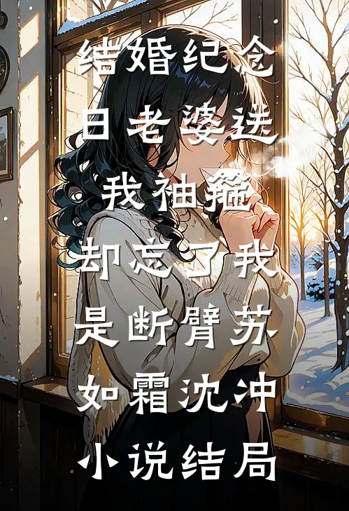 结婚纪念日老婆送我袖箍，却忘了我是断臂苏如霜沈冲小说结局