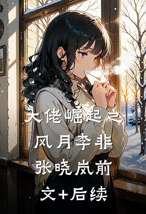 大佬崛起之风月李非张晓岚前文+后续
