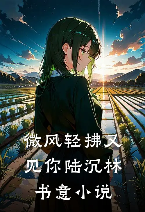 微风轻拂又见你陆沉林书意小说