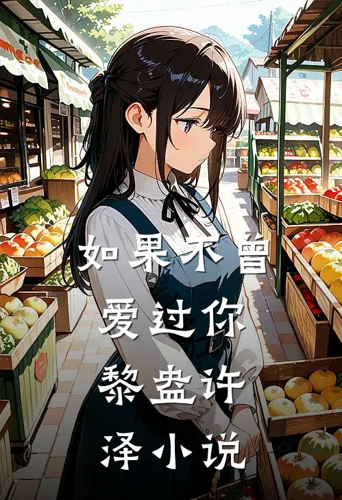 如果不曾爱过你.黎盎许泽小说