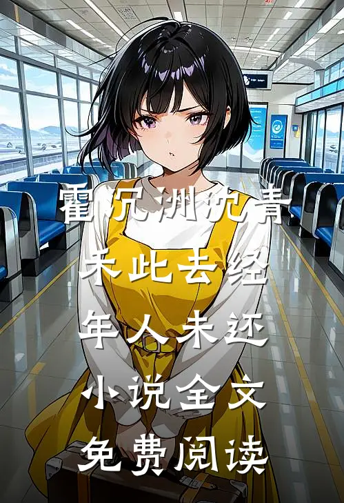 霍沉洲沈青禾此去经年人未还小说全文免费阅读
