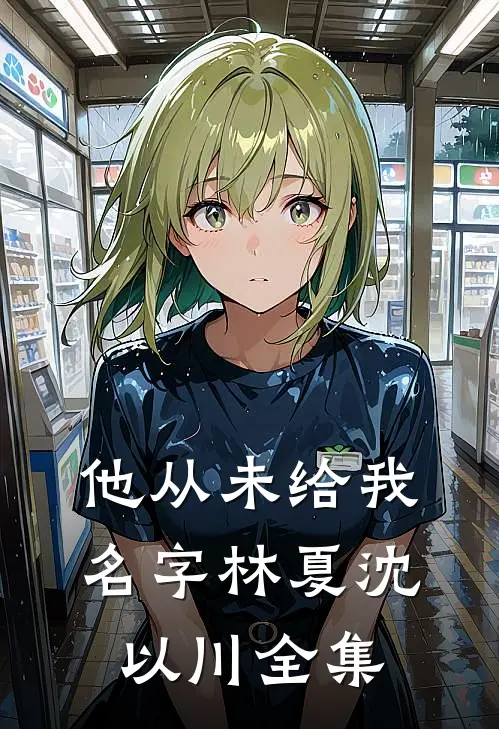 他从未给我名字林夏沈以川 全集