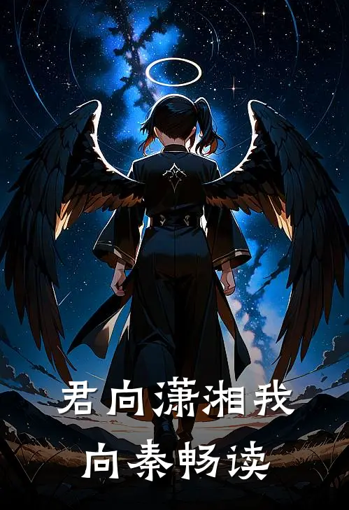 君向潇湘我向秦畅读