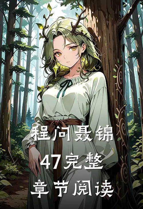程问聂锦47完整章节阅读