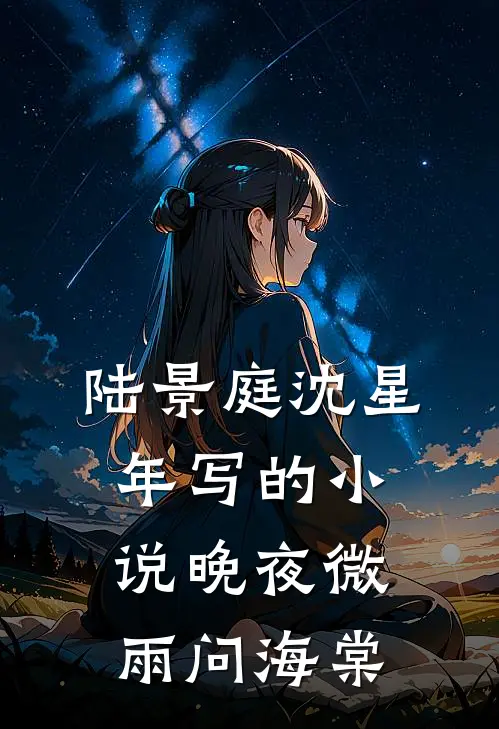 陆景庭沈星年写的小说晚夜微雨问海棠