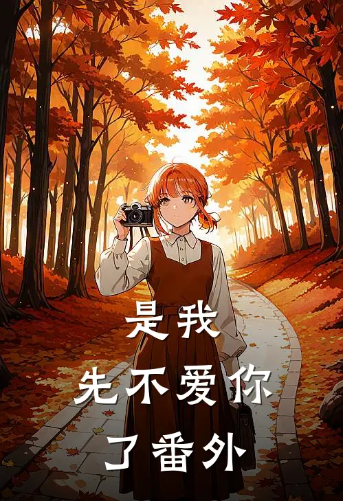 是我，先不爱你了 番外