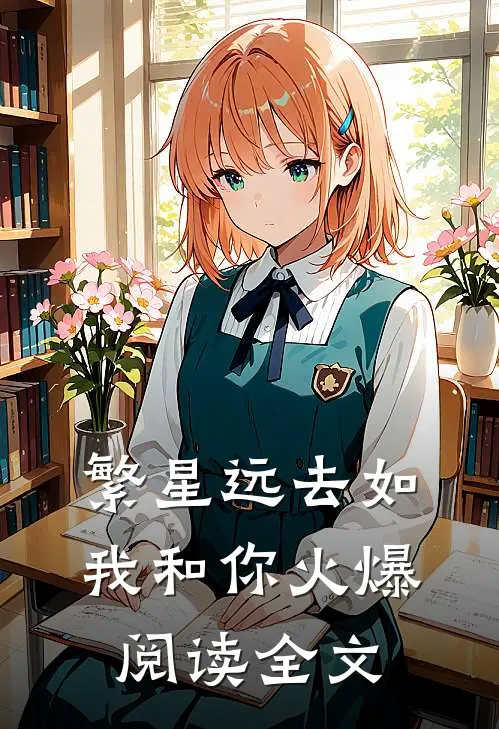 繁星远去如我和你火爆阅读全文